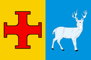 Drapeau de Gornezewo.png