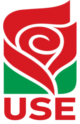 Logo-use-saphyr.png
